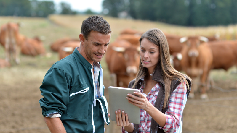 População rural conta com quatro novos serviços digitais